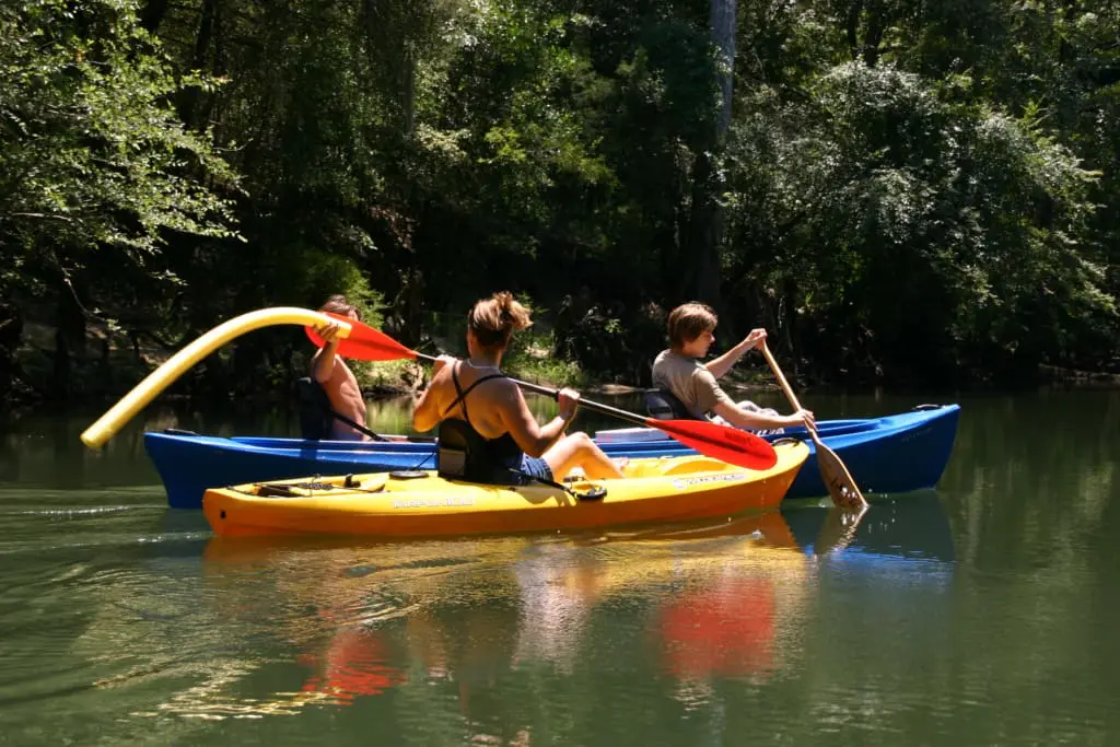 Kayaking along the Chipola river, Marianna FL.