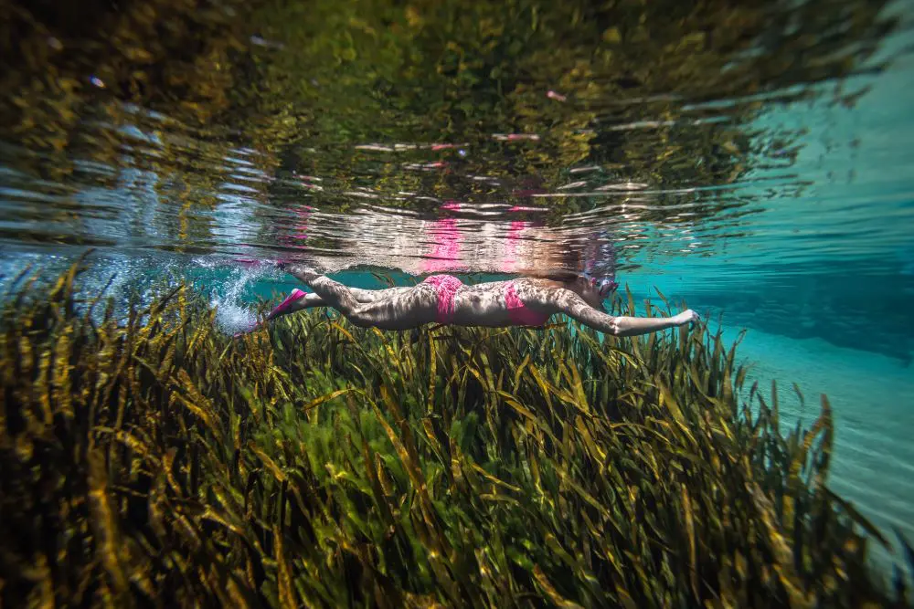 Woman swimming in Freshwater Springs