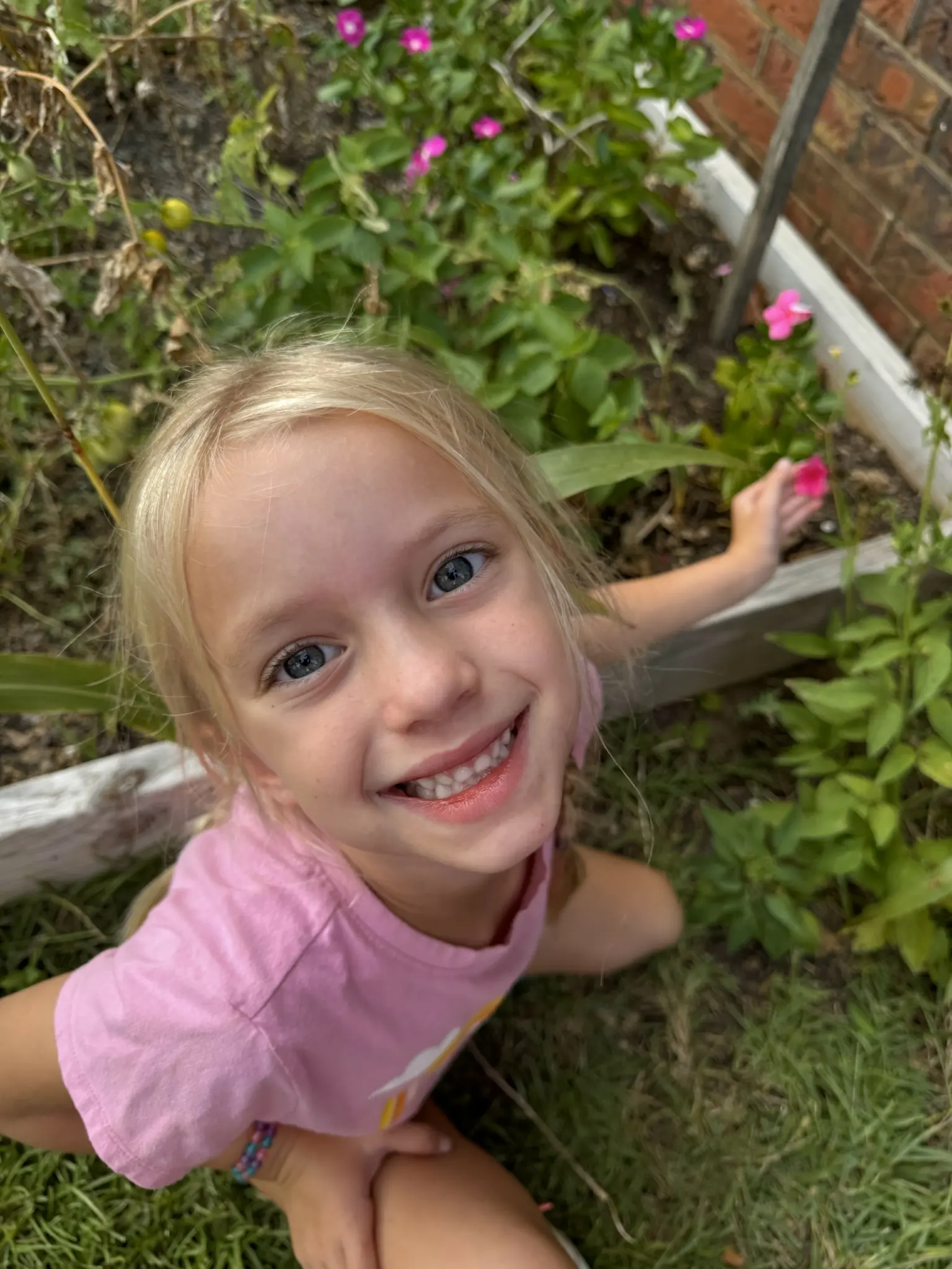 Grow Jackson- planting beautiful summer flowers