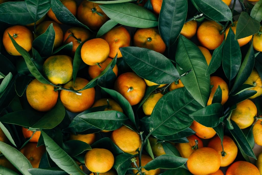 Satsumas, Fresh Citrus. 