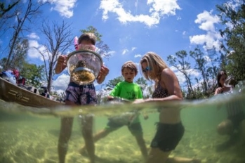 Family playing in Freshwater Springs.