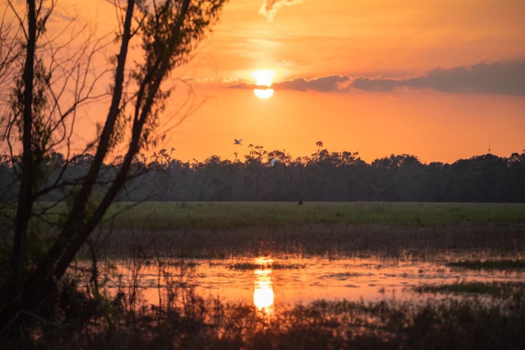 beautiful sunrise with reflection over the river, a perfect morning to paddle down the river
