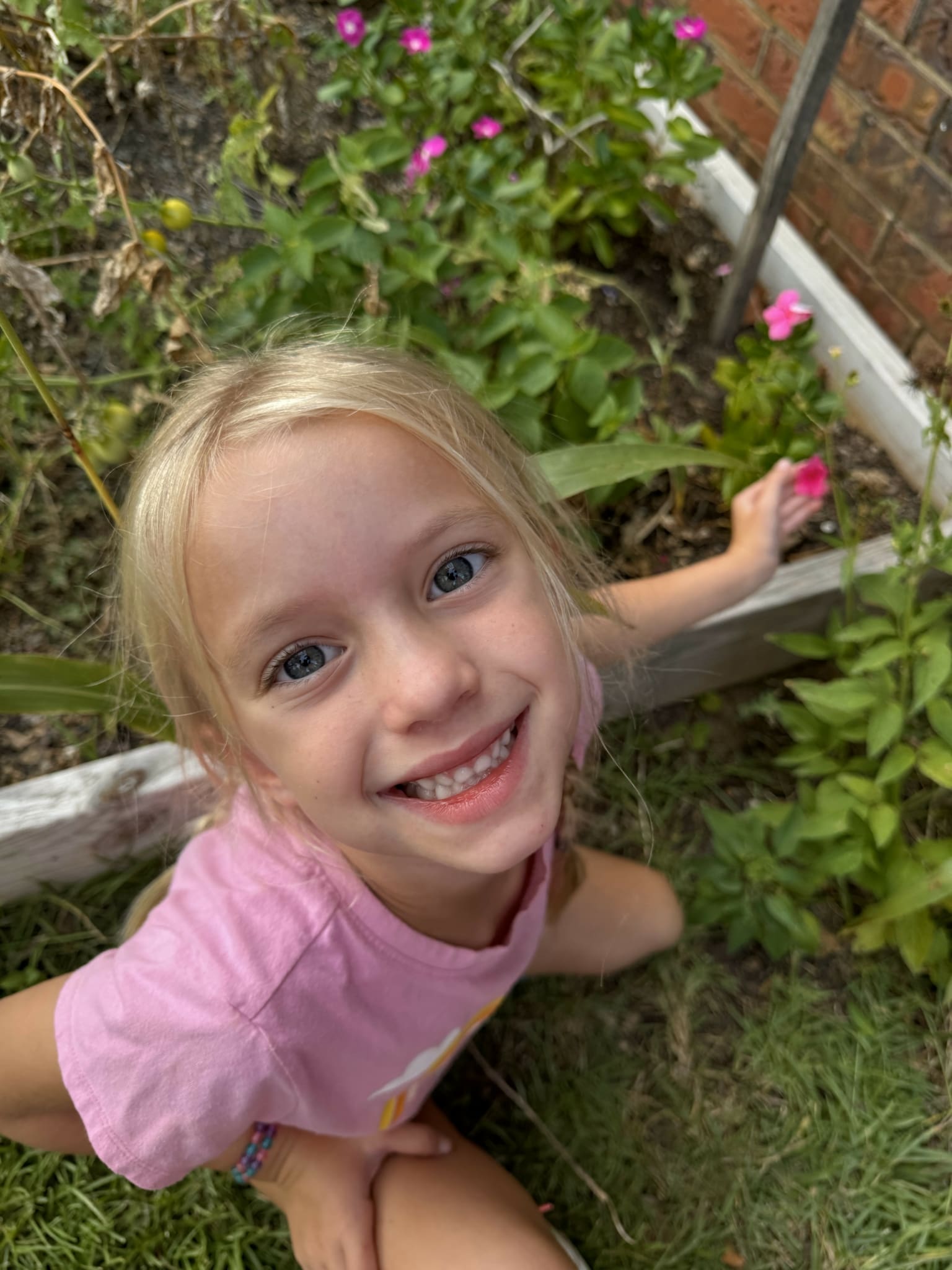 Grow Jackson- planting beautiful summer flowers