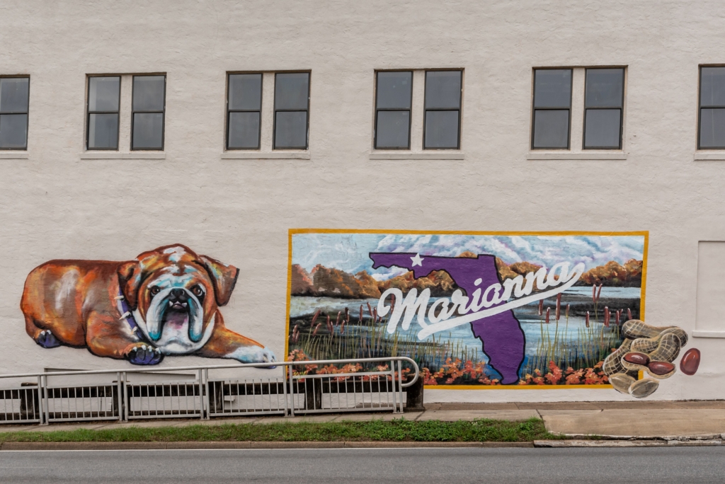 A building mural with a 20 foot school mascot bulldog and a postcard with a Florida outline, peanuts and waterways.